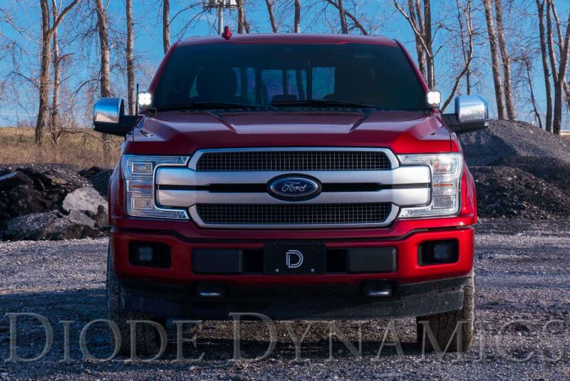 15-20 Ford F-150/Raptor Diode Dynamics DD6569 Pro SS3 LED Ditch Light Kit - White Combo